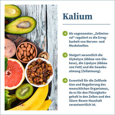 Sie sehen eine Packung NatuGena Kalium Kapseln, Produktbild: 02 NatuGena Kalium Kapseln, A-Nr.: 5404274 - 02