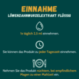 Sie sehen eine Packung Löwenzahnwurzel-Extrakt 100% 100 ml, Produktbild: 02 Löwenzahnwurzel-Extrakt 100% 100 ml, A-Nr.: 5053372 - 02