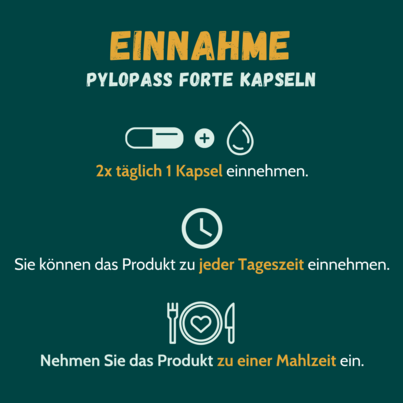Sie sehen eine Packung Pylopass FORTE 180 Kapseln mit B12 & OBE, Produktbild: 02 Pylopass FORTE 180 Kapseln mit B12 & OBE, A-Nr.: 5246651 - 02