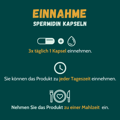 Sie sehen eine Packung Spermidin 1 mg 90 Kapseln, Produktbild: 02 Spermidin 1 mg 90 Kapseln, A-Nr.: 5384726 - 02
