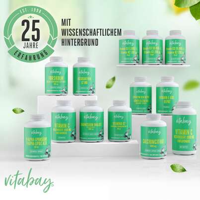 Sie sehen eine Packung Vitabay Ginkgo Biloba 6000 mg Kapseln, Produktbild: 06 Vitabay Ginkgo Biloba 6000 mg Kapseln, A-Nr.: 5881181 - 06