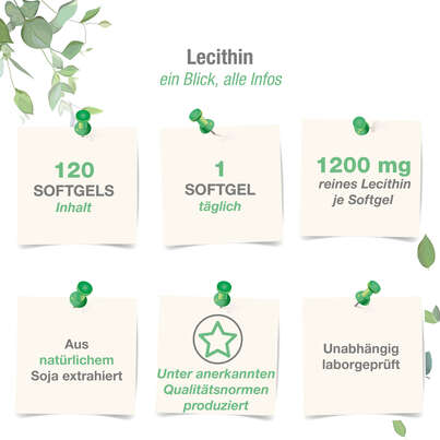 Vitabay LECITHIN 1200 mg Weichkapseln, A-Nr.: 5878316 - 04