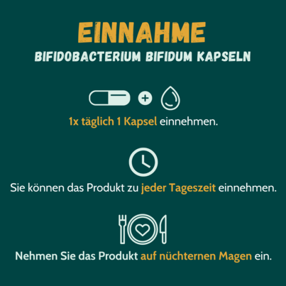 Bifidobacterium Bifidum 90 Kapseln, A-Nr.: 4835859 - 02