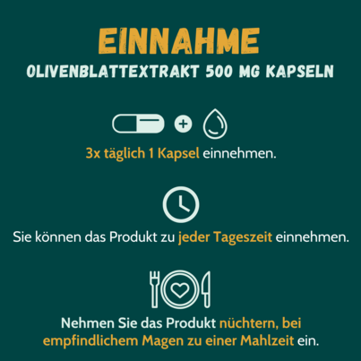Sie sehen eine Packung Olivenblattextrakt MONO 500mg Kapseln 180 Stk., Produktbild: 02 Olivenblattextrakt MONO 500mg Kapseln 180 Stk., A-Nr.: 4593244 - 02