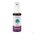 Taoasis Teebaum Fuß Spray 50ml, A-Nr.: 3166008 - 01