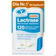 Sie sehen eine Packung Lactrase Tabl Im Klickspender 6.000 Fcc -pro Natura 120st, Produktbild: 01 Lactrase Tabl Im Klickspender 6.000 Fcc -pro Natura 120st, A-Nr.: 4309496 - 01