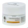 Hauschka Dr. Kosmetik Gesichtspflege Lippen Kosmetikum Tg 4,5ml, A-Nr.: 2051355 - 02