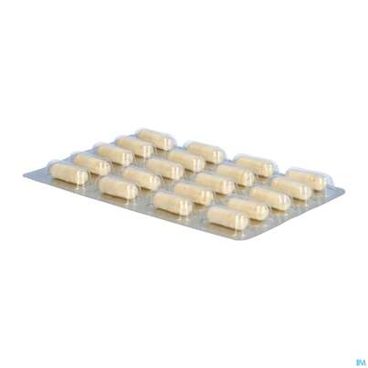 Darmflora Plus Dr.wolz Select Kapseln Nr 60570 80st, A-Nr.: 3839306 - 06