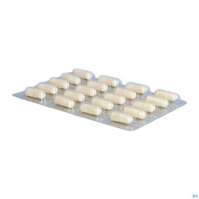 Darmflora Plus Dr.wolz Select Kapseln Nr 60586 40st, A-Nr.: 3839298 - 06