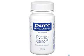 Pure Encapsulations Pycnogenol 60 Kapseln, A-Nr.: 2312198 - 01
