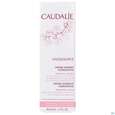 Caudalie Vinosource/hydra Creme Sorbet Hydratisierend 40ml, A-Nr.: 3969581 - 01