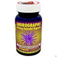 Andrographis Kapseln Extrakt 200mg -apo Drei- Faltigkeit 60st, A-Nr.: 4392818 - 04