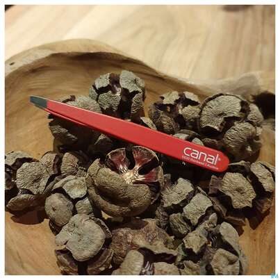 Sie sehen eine Packung Pinzetten Canal Rostfrei/schraeg 9cm Rot 2011- 1st, Produktbild: 04 Pinzetten Canal Rostfrei/schraeg 9cm Rot 2011- 1st, A-Nr.: 4785618 - 04