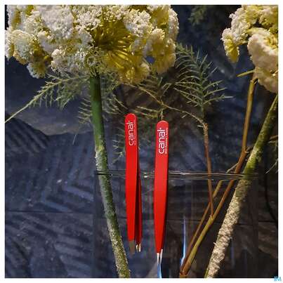 Sie sehen eine Packung Pinzetten Canal Rostfrei/splitter 9cm Rot 2021- 1st, Produktbild: 02 Pinzetten Canal Rostfrei/splitter 9cm Rot 2021- 1st, A-Nr.: 4785736 - 02