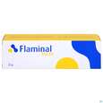 Sie sehen eine Packung Flaminal Forte 25g, Produktbild: 01 Flaminal Forte 25g, A-Nr.: 4551004 - 01