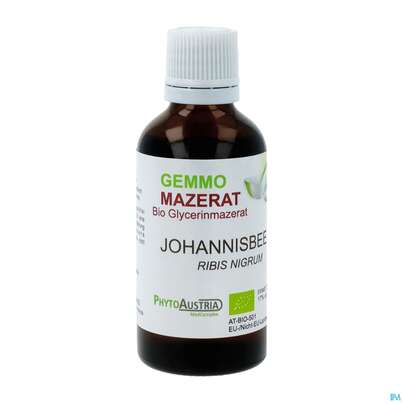 Sie sehen eine Packung Gemmo Mazerat Bio Phytoaustria Schwarze Johannisbeere Ribis Nigrum 50ml, Produktbild: 02 Gemmo Mazerat Bio Phytoaustria Schwarze Johannisbeere Ribis Nigrum 50ml, A-Nr.: 4597472 - 02