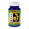 Sie sehen eine Packung Ginkgo 240mg Extrakt Kapseln 1x1 60st, Produktbild: 02 Ginkgo 240mg Extrakt Kapseln 1x1 60st, A-Nr.: 4122183 - 02