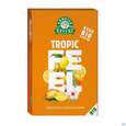Dr.Kottas Tee Tropic Feel 20st, A-Nr.: 4757326 - 01