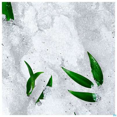 Nuxe Reve/de The Koerper Peeling Scrub 150ml, A-Nr.: 5479438 - 05