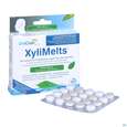 Sie sehen eine Packung Xylimelts Hafttabl 40s Milde Minze Artikelnr 01ac0034 40st, Produktbild: 07 Xylimelts Hafttabl 40s Milde Minze Artikelnr 01ac0034 40st, A-Nr.: 4165413 - 07
